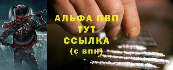 стаф Михайлов