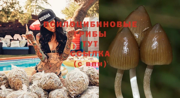 ПСИЛОЦИБИНОВЫЕ ГРИБЫ Навашино