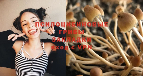 тгк Михайловск