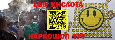 дживик Донской