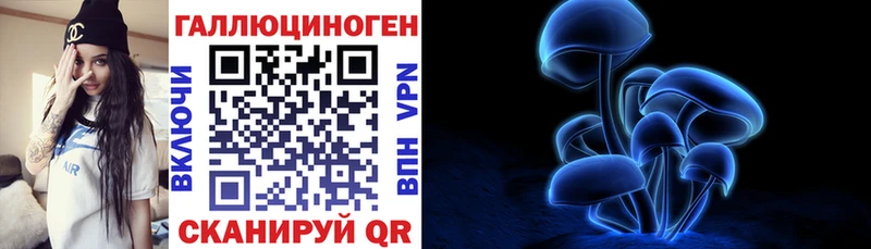 Псилоцибиновые грибы Psilocybine cubensis  Калуга 